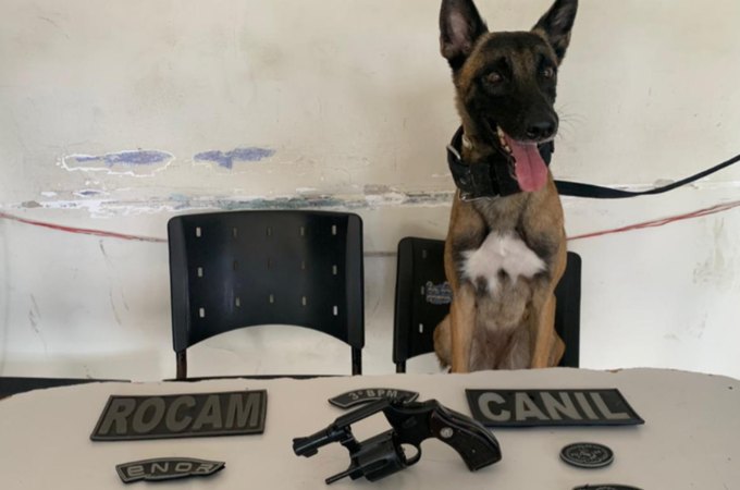 Arma de fogo é encontrada dentro de residência e homem acaba preso no bairro Brasília