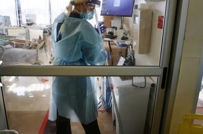 Fungo resistente a medicamentos se espalha rapidamente em hospitais europeus, alertam autoridades de saúde