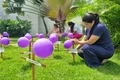 Área Lilás do Hospital de Emergência do Agreste transforma jardim em painel de conscientização sobre violência contra a mulher