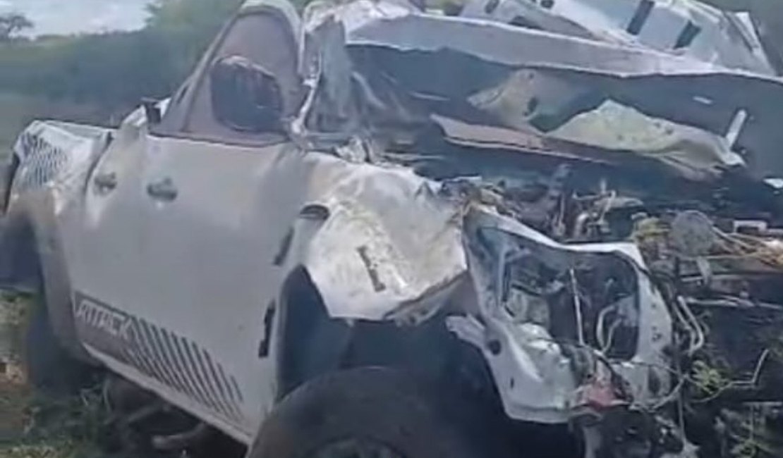 Delegado sofre acidente na AL-220 após desviar de animal na pista