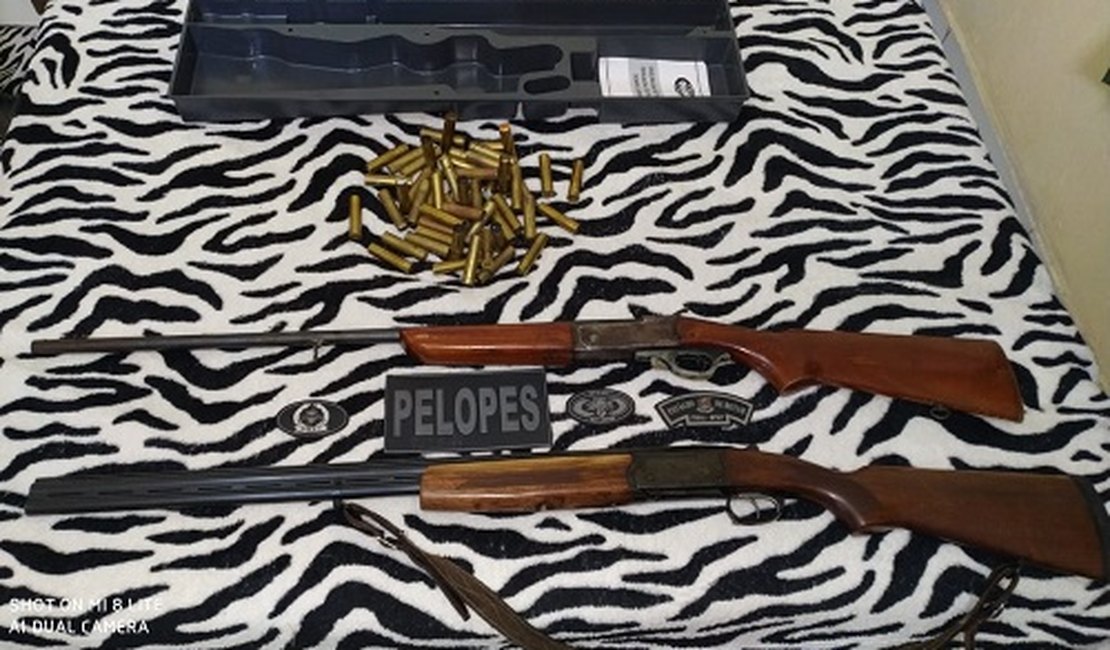 Pelopes apreende armas e idoso é autuado por posse irregular de arma de fogo