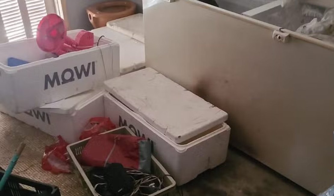Enteado confessa que matou padrasto e colocou corpo esquartejado no freezer