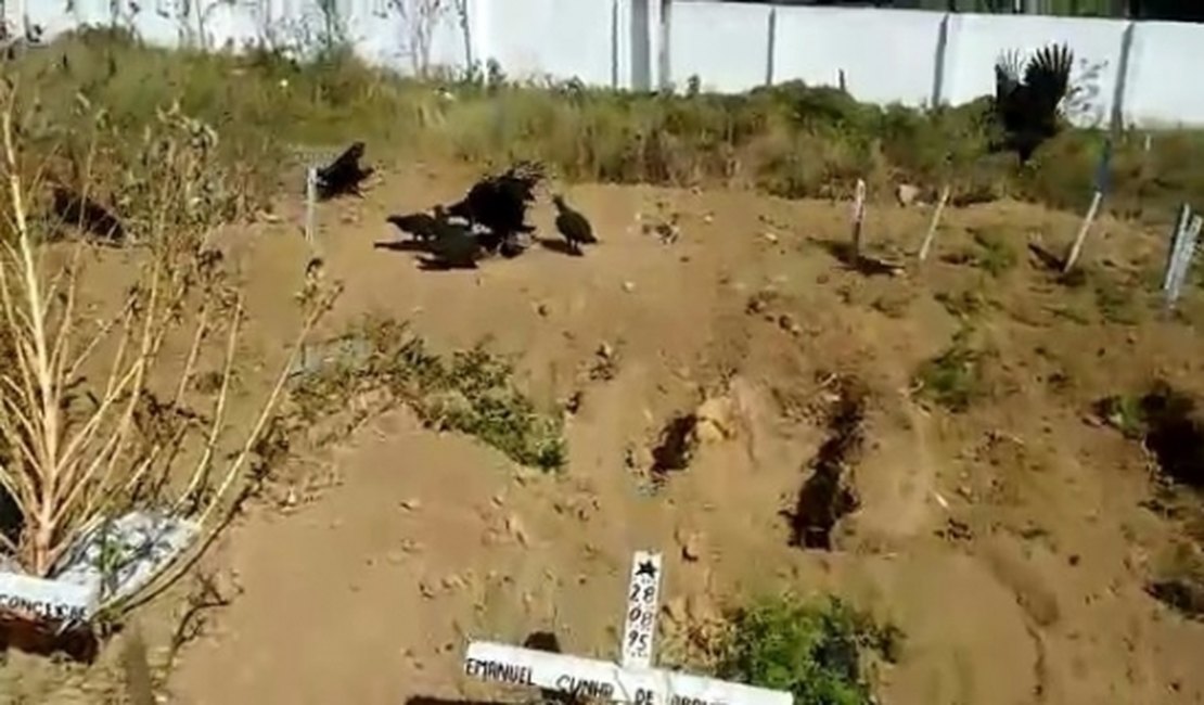 IML vai sepultar indigentes em Arapiraca por falta de cemitério em Maceió