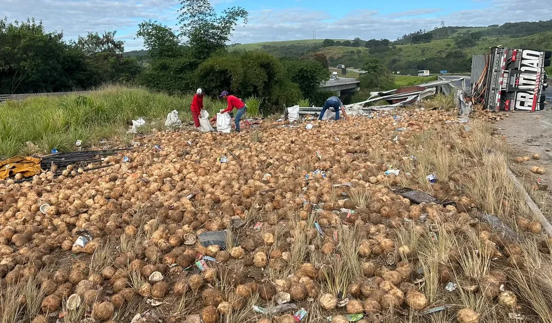 Caminhão carregado de cocos tomba e motorista morre na BR-101, em Alagoas