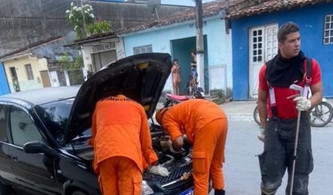 Bombeiros são acionados para retirar cobra de dentro de carro, em Arapiraca; Assista