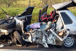 Criança de dois anos sobrevive a acidente em rodovia