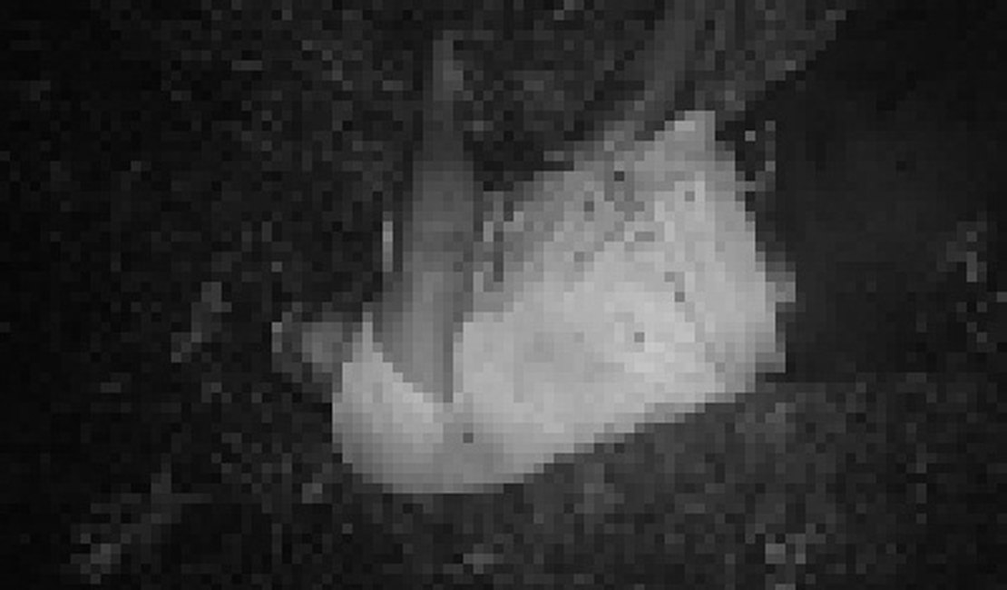 Mecânico é executado por disparos de arma de fogo no Agreste