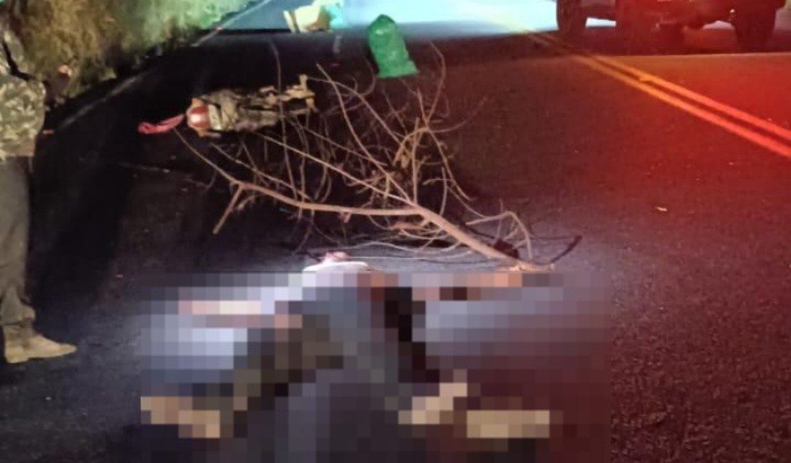 Motociclista morre após grave acidente na AL-115 em Palmeira dos Índios