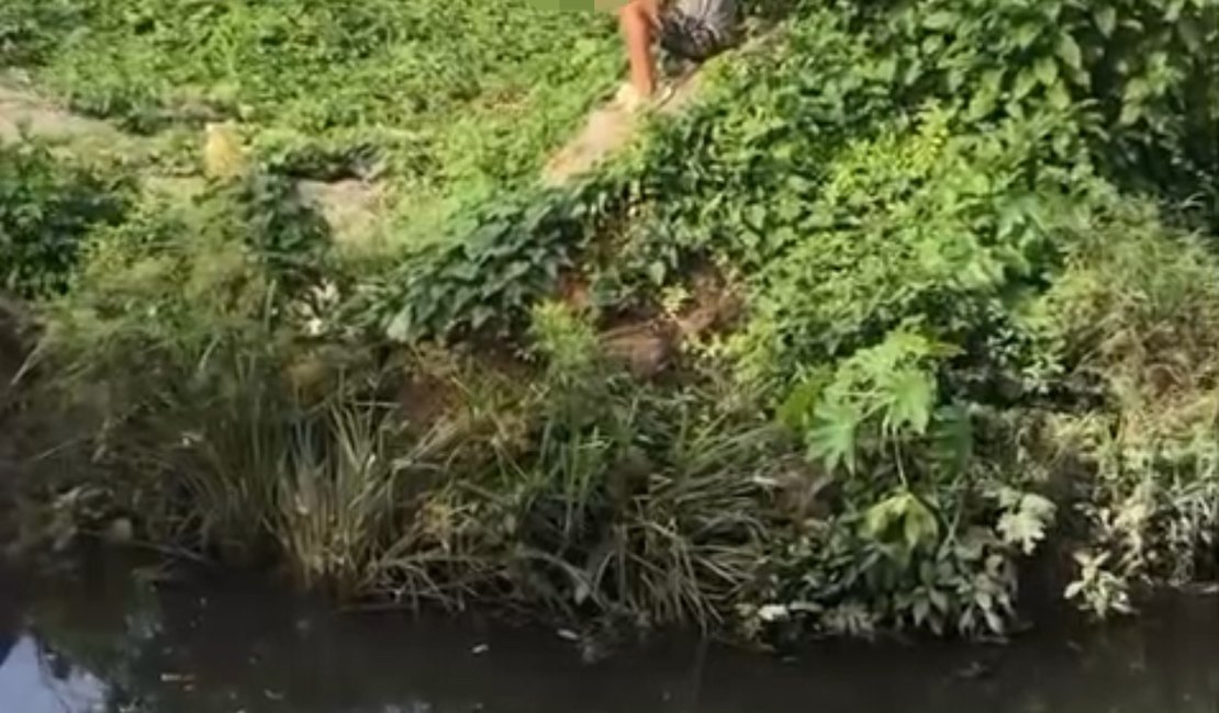 Criança é flagrada tentando se aproximar de jacarés em riacho de Arapiraca