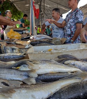 Ainda não comprou? Descubra o preço dos peixes e bons locais para comprá-los em Arapiraca nesta Páscoa