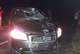 Acidente com carro e carroça deixa esposa de ex-vereador em estado grave