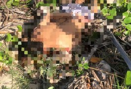 Corpo de jovem alvejado com tiros na cabeça é encontrado perto de praia no Litoral Norte