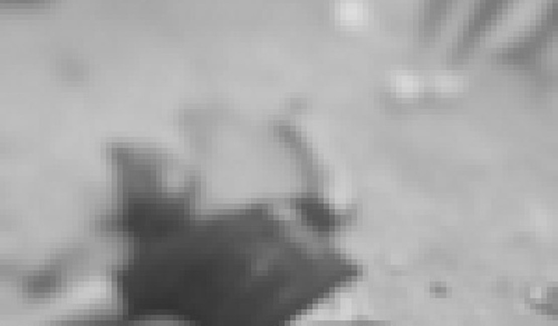 Jovem é brutalmente assassinado no Vergel, em Maceió