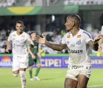 Santos supera campeonato de altos e baixos e volta à Série A do Brasileirão