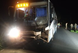 Ônibus com delegação do Coruripe colide contra égua prenha e potro em Penedo