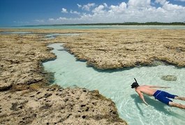 APL Turismo Costa dos Corais reativa instância de governança