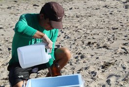 Amostras de praias dos litorais Norte e Sul indicam águas livres de contaminação