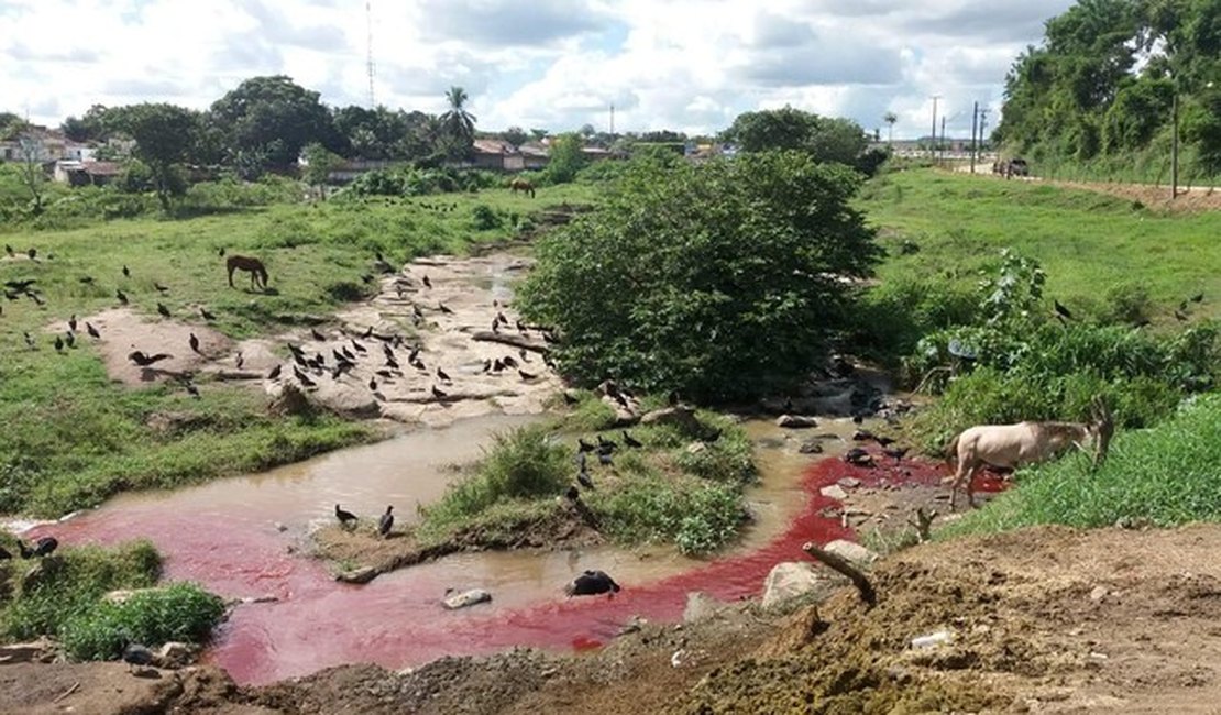 Matadouro Público de São José da Laje é interditado após fiscalização