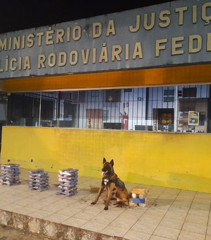 Mais de 50 Kg de maconha e crack são encontrados dentro de caminhão em São Miguel dos Campos