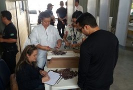 Detento é diagnosticado com meningite e visitas podem ser suspensas