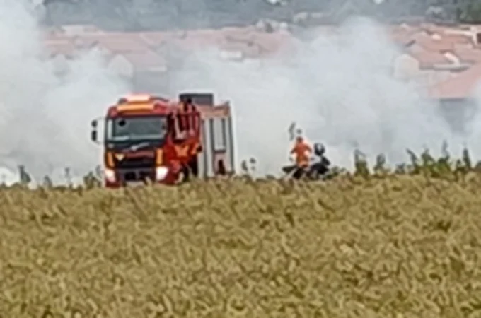 VÍDEO: Fogo se alastra por área de vegetação no bairro Senador Nilo Coelho, em Arapiraca