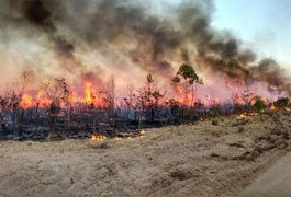 Eletrobras deve pagar R$ 35 mil por incêndio em propriedade rural