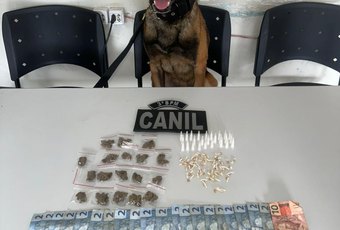 Cão farejador encontra drogas em área de mata e suspeito de 19 anos é preso, em Arapiraca