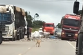 Motorista de caminhão evita acidente e sacos com materiais recicláveis caem na AL-110, em São Sebastião