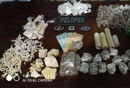 Menor é apreendido suspeito de tráfico de drogas na Canafístula, em Arapiraca