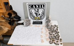 Cadela K9 Bereta encontrou drogas na Canafístula