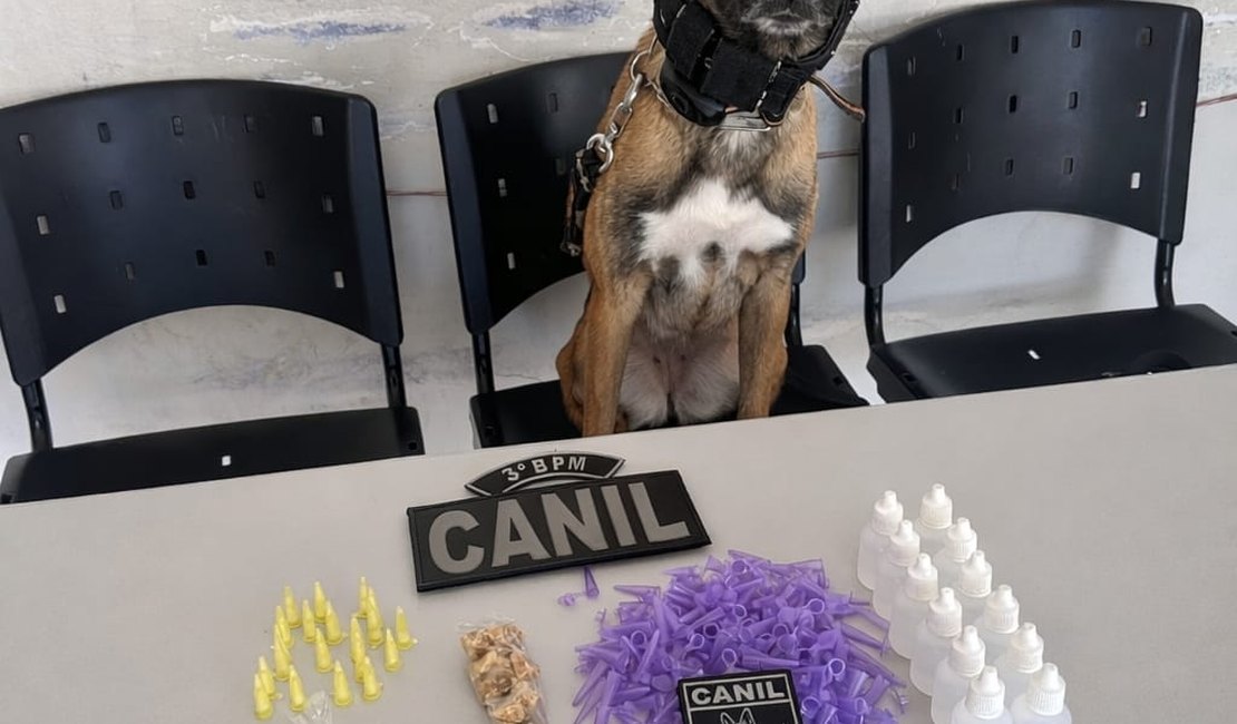 Ação do 3° BPM resulta em prisão de homem por tráfico de drogas e resgate de criança em situação de risco, em Arapiraca