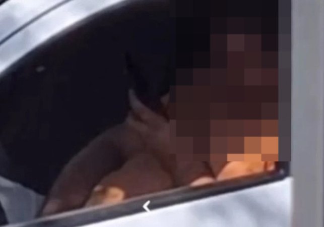 Defesa de homem filmado em suposto ato obsceno em Penedo diz que ele tem escabiose e estava apenas se coçando