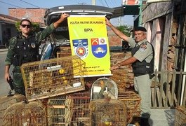 PM apreende diversos animais silvestres em União dos Palmares