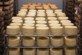 Italiano morre após ser esmagado por toneladas de queijo