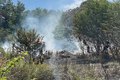 Incêndio atinge terreno dos Correios, fumaça invade área de casas e assusta moradores, em Maceió