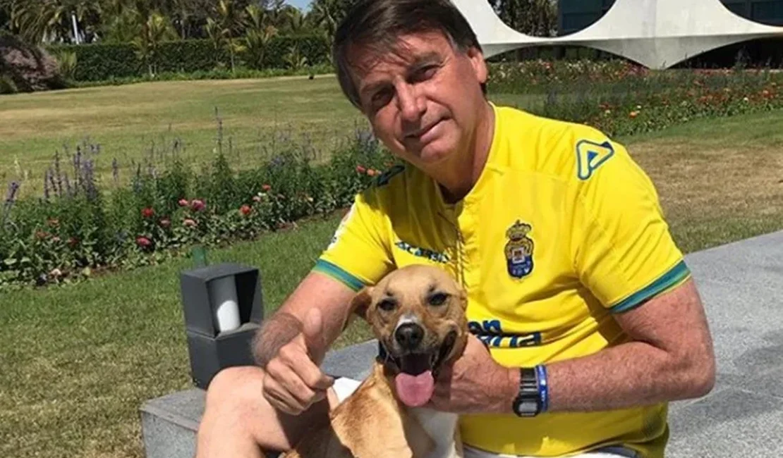 Cães caramelo de Bolsonaro mordem PMs durante guarda de prisão domiciliar