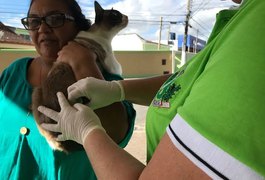 Dia D de vacinação antirrábica acontece neste sábado (20) em mais de 70 pontos de Arapiraca