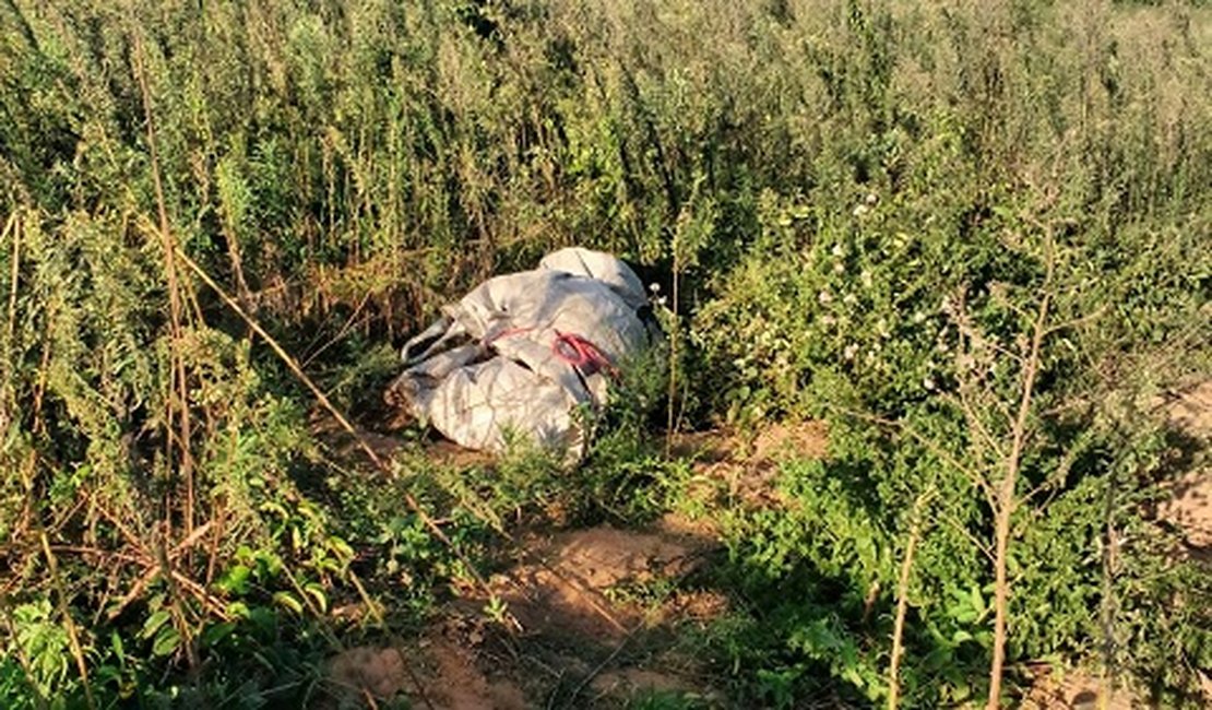 VÍDEO. Populares encontram corpo amarrado com panos no Agreste