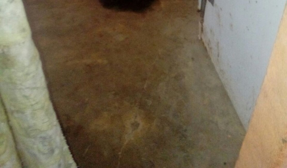 Mulher é encontrada morta dentro de Bar na zona rural de Viçosa