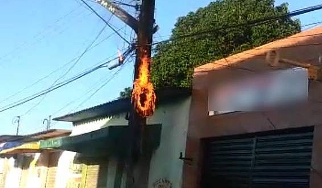 Cidade alagoana fica completamente sem energia após urubu bater em rede elétrica