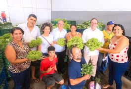 Prefeitura de Arapiraca já adquiriu mais de 600 toneladas de alimentos da agricultura familiar