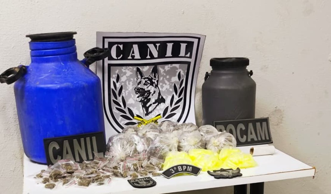 Cão farejador leva Polícia Militar a esconderijo de drogas, em área de mata em Arapiraca