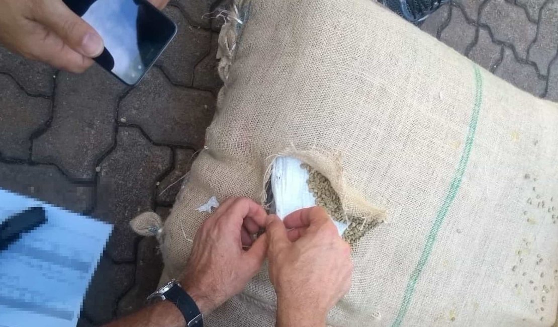 Operação localiza 341 kg de cocaína em carga no Porto de Santos