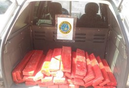 Polícia prende suspeito e apreende mais de 70 kg de maconha em Maceió