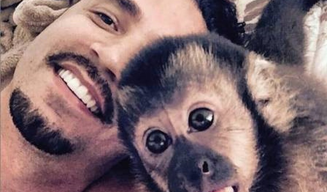 Macaco de estimação de Latino, Twelves morre atropelado no Rio