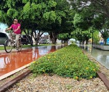 Arapiraca abre consulta pública para construção do Plano de Mobilidade Urbana