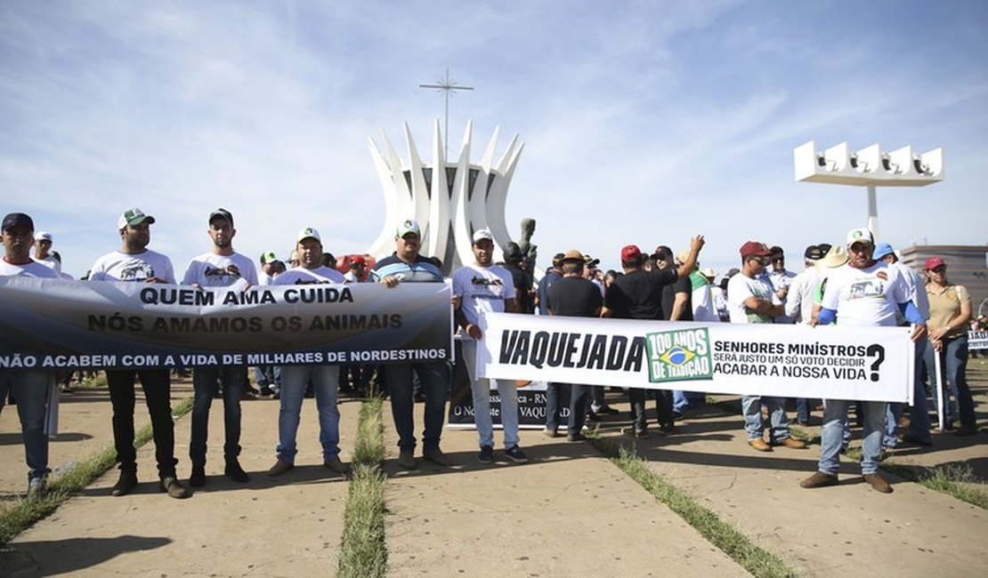 CCJ aprova vaquejada como patrimônio cultural imaterial brasileiro