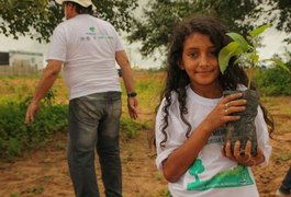 Dia da Árvore: Arapiraca está ficando cada vez mais verde