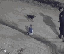 Bebê 'foge' de casa engatinhando com cachorro e é encontrado pela polícia em rua