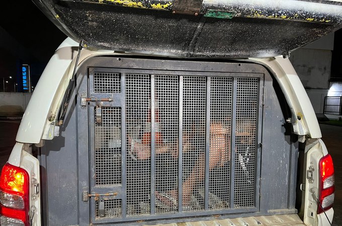 Operação da 4ª Cia recupera moto roubada e prende homem com mandado por tráfico